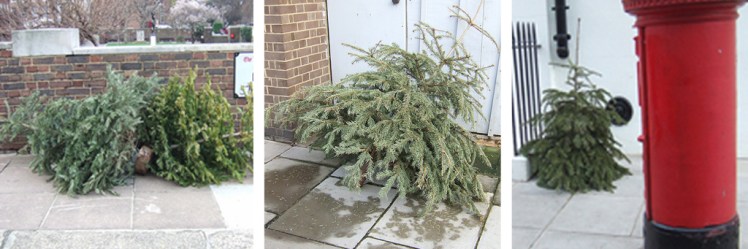 Discarded xmas trees©wetwebwork_Flickr