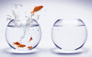 creating-success-for-HSP_OM-Times