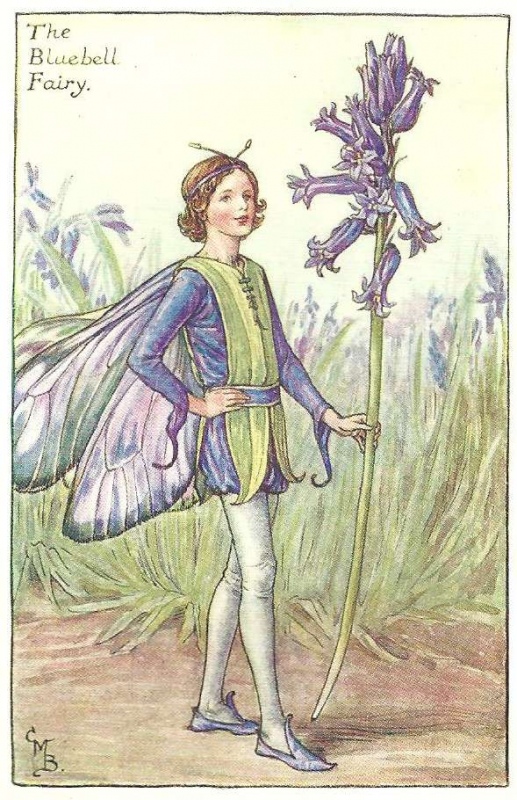 The Bluebell Flower Fairy