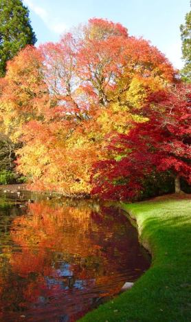 12046791_10156277980315691_1788004608993567441_n