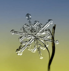 ©Andrew Osokin Photography