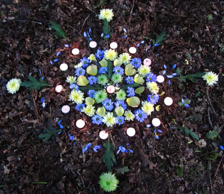 The Art Of Nature Mandalas The Muse In The Mirror the-art-of-nature-mandalas-the-muse-in-the-mirror
