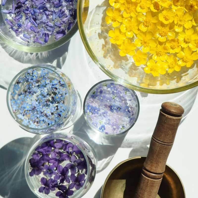 Homemade Flower Essences, a Simple&nbsp;Guide